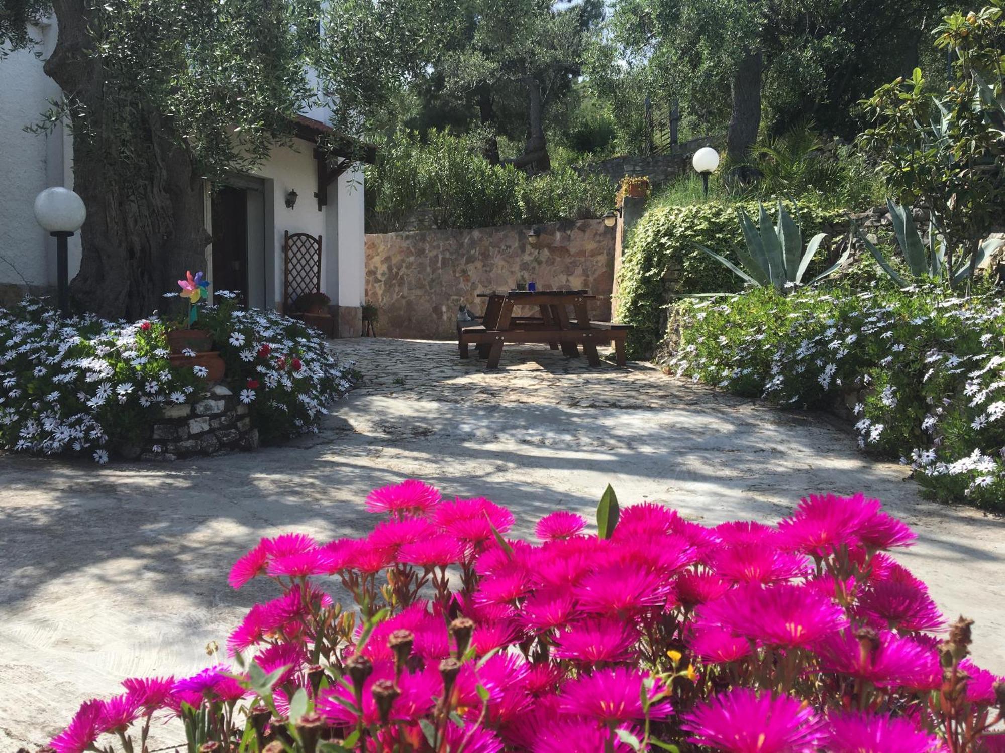 Azienda Agricola B&B Macchiaria Vieste Eksteriør billede