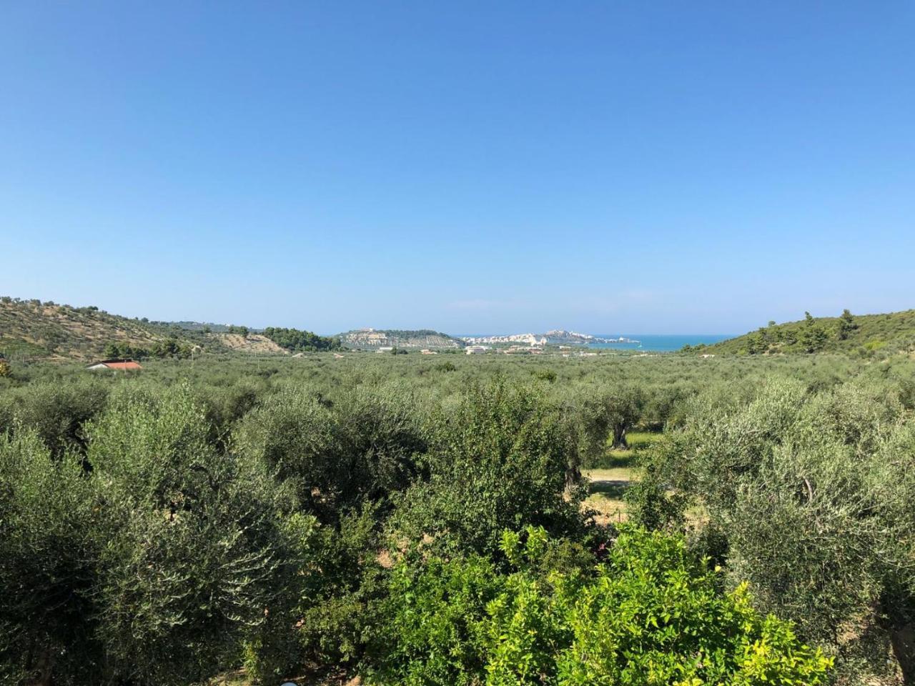 Azienda Agricola B&B Macchiaria Vieste Eksteriør billede