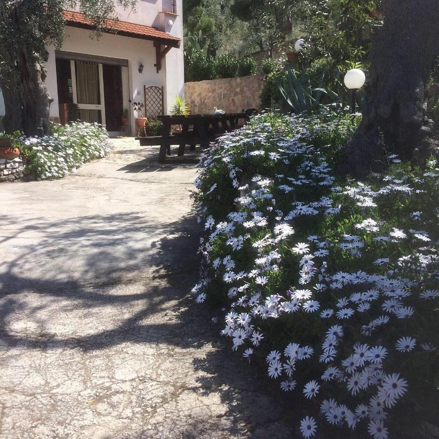 Azienda Agricola B&B Macchiaria Vieste Eksteriør billede